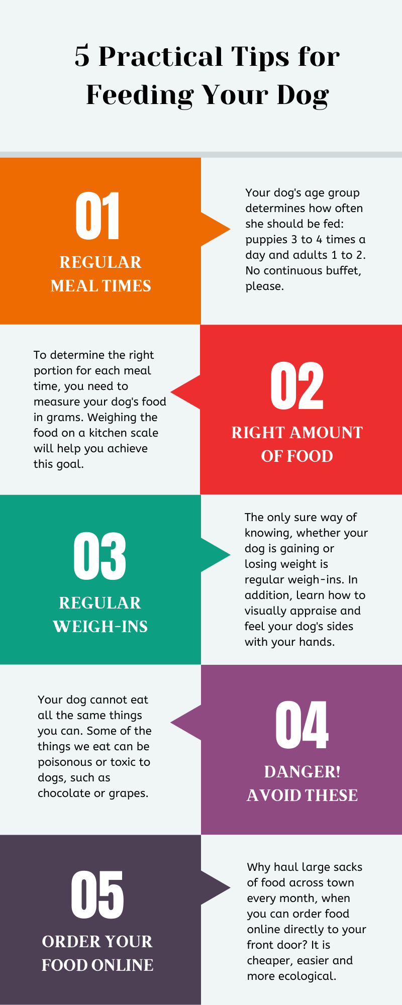 Infographic: 5 Practical Tips for Feeding Your Dog