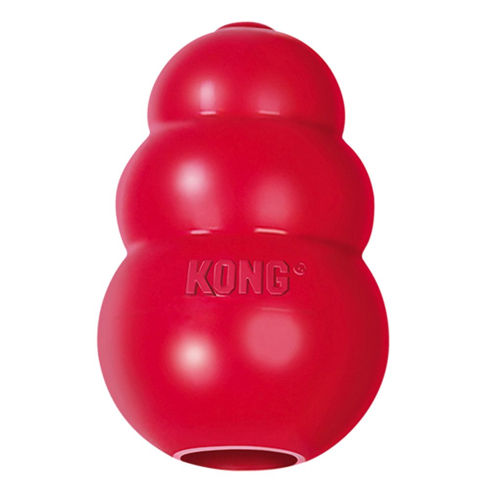 KONG Classic activation toy.