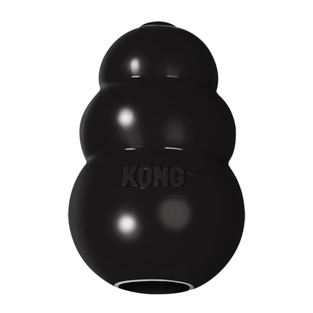KONG Extreme activation toy for power chewers.